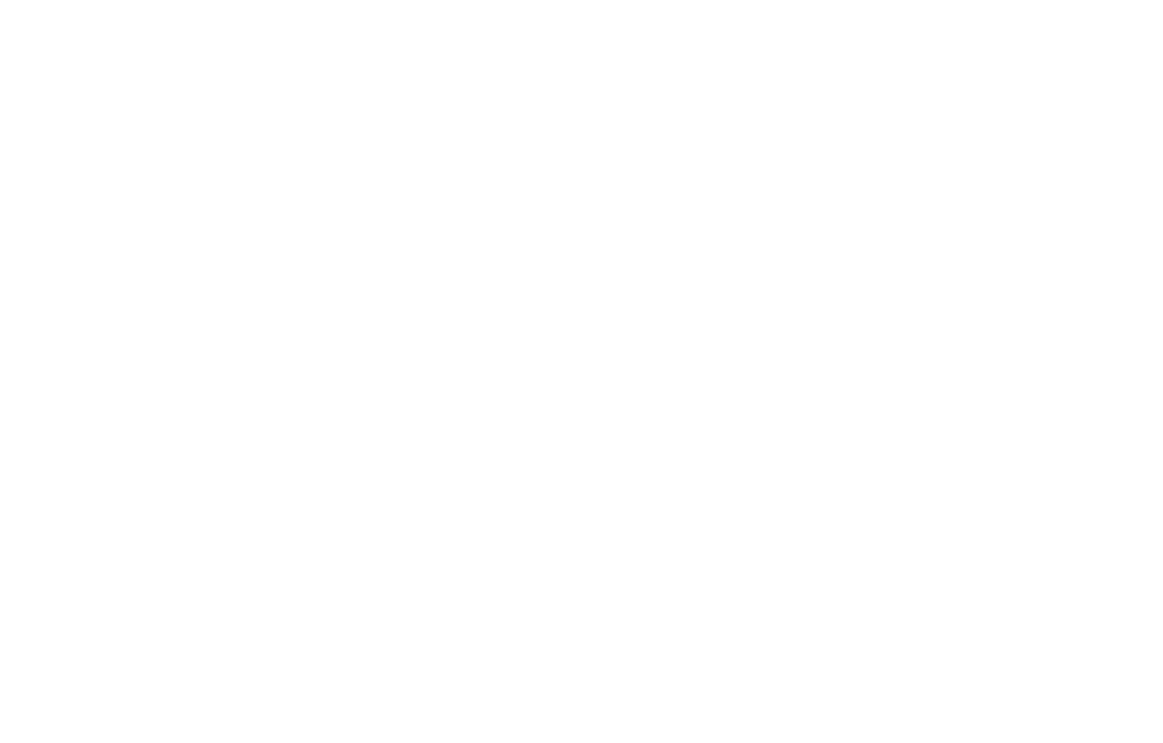 Migos / YRN